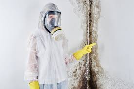 Reliable Wyanet, IL Mold Removal & Remediation Solutions